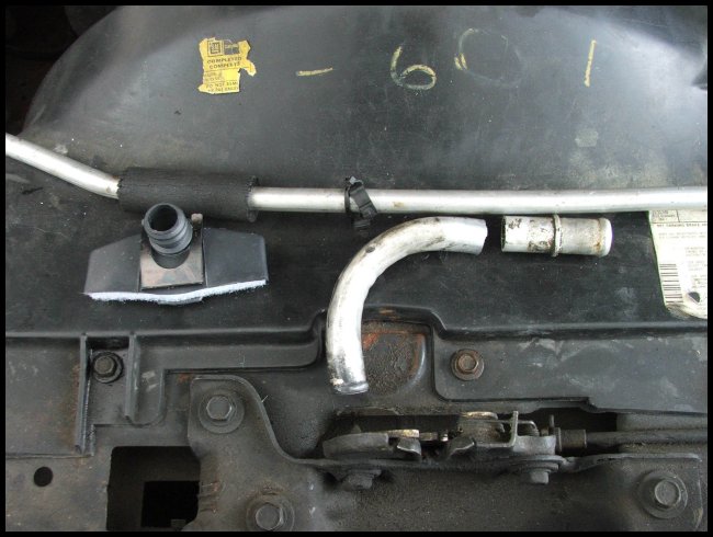 pic5